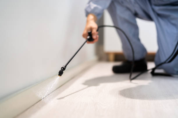 Licensed Termite Control service in Hancock County County, MS - Nex Pest Control