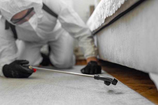 Professional Termite Control technician working in Hancock County County, MS